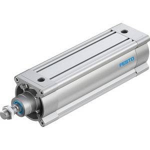 DSBC-100-250-PPSA-N3 Standard cylinder