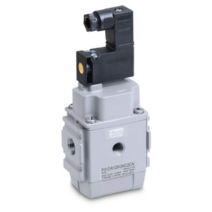SS/DUMP VALVE 2 1/4BSP P31TA12SGNC2CN