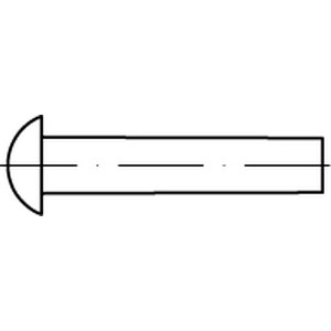 SPARTEX ST KLINKNAGEL BK D660/124 6X10MM
