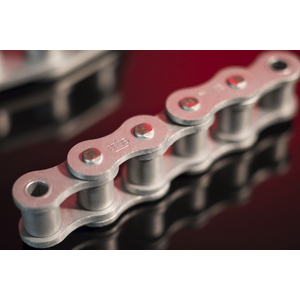 CHAINE PAS 31,75 SIMPLE 17TDAC 20B-1 ANTI-CORROS DELTA TITANIUM