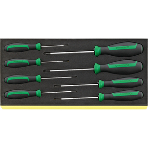 STAHLWILLE TCS + NR.4750 T8-T30 - 96838767