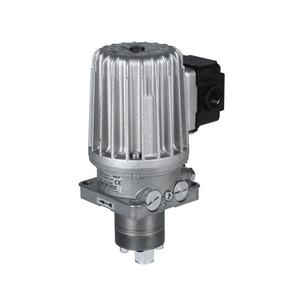 ELETTROPOMPA A PALETTE 1.2LT/MIN 6 BAR 230/400V 50HZ FLM12-2000+140