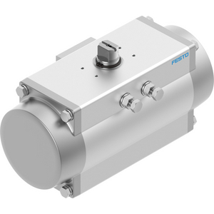 VERIN OSCILLANT DFPD-N-300-RP-90-RS60-F