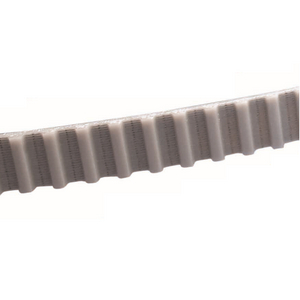 CINGHIE PHG T5-650-25
