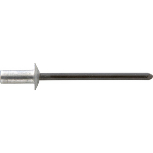 9946450495 Blindniet CAP Alu Stand Flachrdk. 4,0x 9