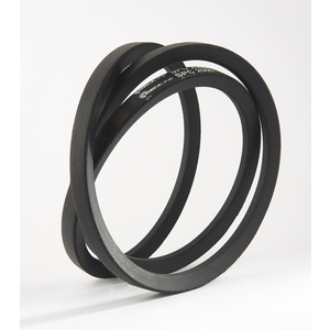 889511-CINGHIA TRAPEZOIDALE FASCIATA STRETTA SPC2120E - 889511