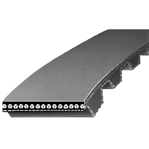 COURROIE DENTEE 156 XL 050 ZR - (SD)