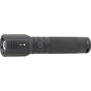 9992470125 Taschenlampe 250LM FORMAT