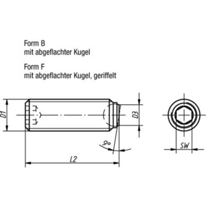 K0384.21216 Kugeldruckschraube Form B Niro