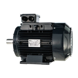 PIEDI (COPPIA) PER MOTORE H160M (GHISA) 886766