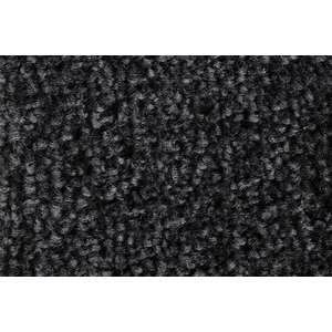 3110021610 Schmutzfangmatte EAZYCARE Wash anthrazit B60xT85 cm