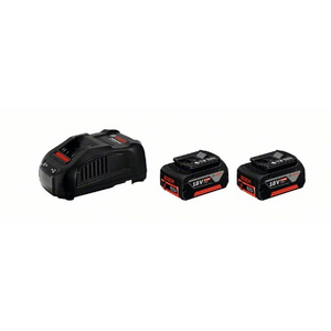 01752655, 8110201215, 1600A00B8J Akku-Starter Set 2x 18,0 V 5,0 Ah Ladegerät GAL1880CV