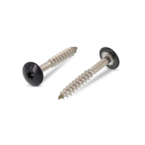 SPARTEX RVS A4 TRESPASCHROEF LBK 7016 TORX 9086 5,5X55MM