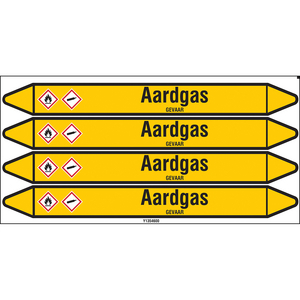 BRADY AARDGAS 250X26CARD-T1-P2 KAART A 4 STUKS