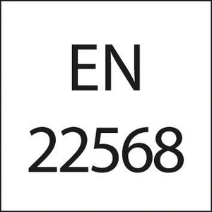 9160990051 Schneideisen EN22568 HSS M22x1,50 FORTIS
