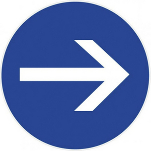 MARQUAGE SOL ACCES INTERDIT D300MM ADHESIF