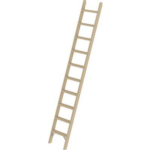 3210032280 Stufenanlegeleiter Holz ohne Traverse 10 Stufen