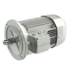 8O0203003S-MOTORE BE 80A 4 ESECUZIONE CERTIFICATA USA/CANADA KW 0,55 4P B5R IEC80A 3PH 280/480V 60HZ IP54 CLF IE2 BE FA 5 480 CUS