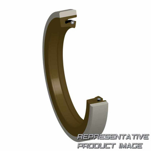 SRG.E55-FA125 (INA) Exzenterring INA