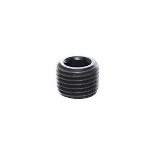 02A6 - INTERNAL HEXAGON HEADED NPT TAPER THREAD