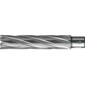 9117154830 Kernbohrer HKE-L Weldon HM extralang, 48110 mm BDS
