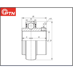 CUSCINETTO RAD.RIGIDO A SFERE EST.SFERICO INOX PTN A TENUTA STAGNA * SS.UC.212