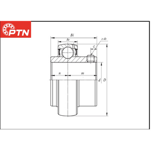 CUSCINETTO RAD. RIGIDO A SFERE ESTERNO SFERICO PTN A TENUTA STAGNA * UC.202