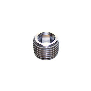 STAINLESS STEEL PLUG 1/4 BSP 0285 13 00