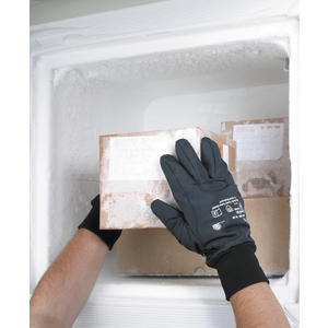 WINTERHANDSCHUH ICEGRIP 691 9 PP51530009, Nylon, prof. Innenfl., sw/bl, Strickb., Thins.