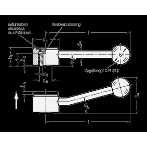 GN125.5-32-M6-E Flachspannhebel verstellbar Edelstahl schräg