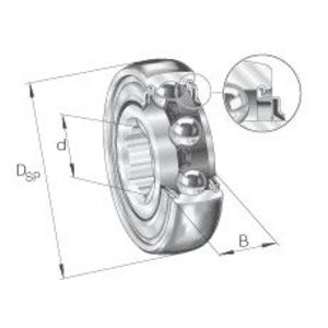 GALET SK102-207-KRR-B-AH10 INA