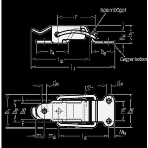 GN832.4-55-NI Spannverschluss Edelstahl