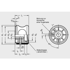 GN624-50-B10-DSG Drehknopf Abdeckkappe schwarzgrau Elesa