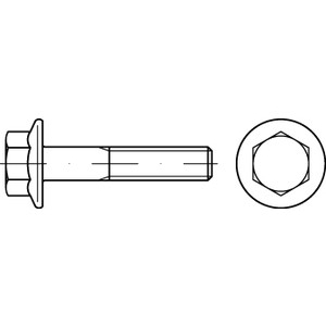 M12X70 DIN 6921 8.8 GAL ZN Sechskantschraube mit Flansch verzinkt