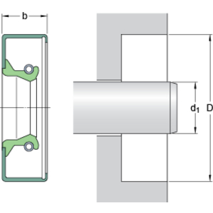 13538 (SKF) Wellendichtring (SKF)