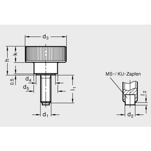 GN421.10-M6-30-KU Rändelhohlschraube mit Kunststoffzapfen