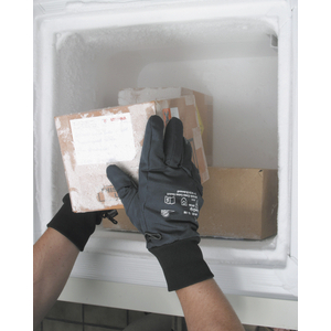 WINTERHANDSCHUH ICEGRIP 691 10 PP515300010, Nylon, prof. Innenfl., sw/bl, Strickb., Thins.