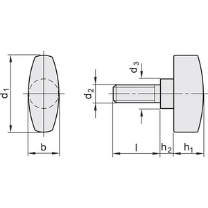 GN.29456-CHIAVETTA DI SERRAGGIO ACCIAIO INOX GN 433-NI-26-M6-20-MT