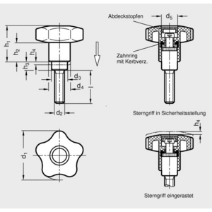 GN5337.3-50-M10-25-NI Sicherheits-Sterngriffschraube Edelstahl