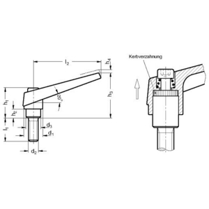 GN101.1-14-M5-25-SW Klemmhebel verstellbar Edelstahl schwarz