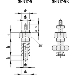 GN.41157-PISTONCINO DI POSIZIONAMENTO A MOLLA ACCIAIO INOX SENZA MANOPOLA CON CONTRODADO GN 817-8-8-GK-NI
