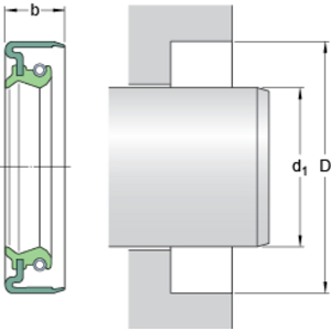6151 (SKF) Wellendichtring (SKF)