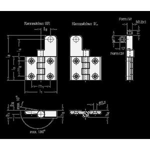 GN239.4-70-53-SR-CS ELESA-Scharnier mit Schalter
