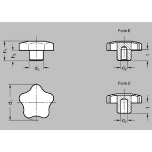 GN5334-60-B12-C Sterngriff Edelstahl