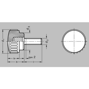 GN529-30-M8-25 Rändelschraube Elesa