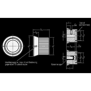 GN726.2-42-B10-S-1 Drehknopf mit Skala