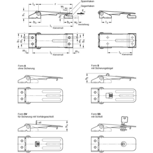 GN821-400-A-NI-1 Spannverschluss Edelstahl