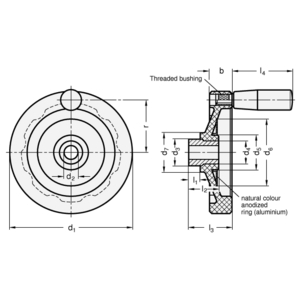GN520.1-200-K18-D Elesa-Handrad