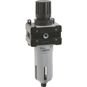 REGULATOR FILTER  1/4-G