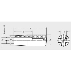 GN519.1-23-B10 Zylinderknopf zum aufschlagen Elesa